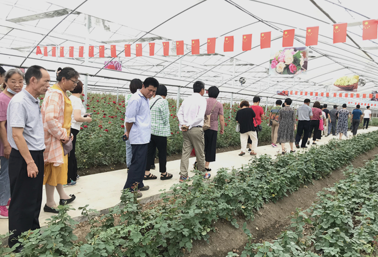 西渚镇开展残疾人花卉园艺培训班.jpg 西渚镇开展残疾人花卉园艺培训班.jpg