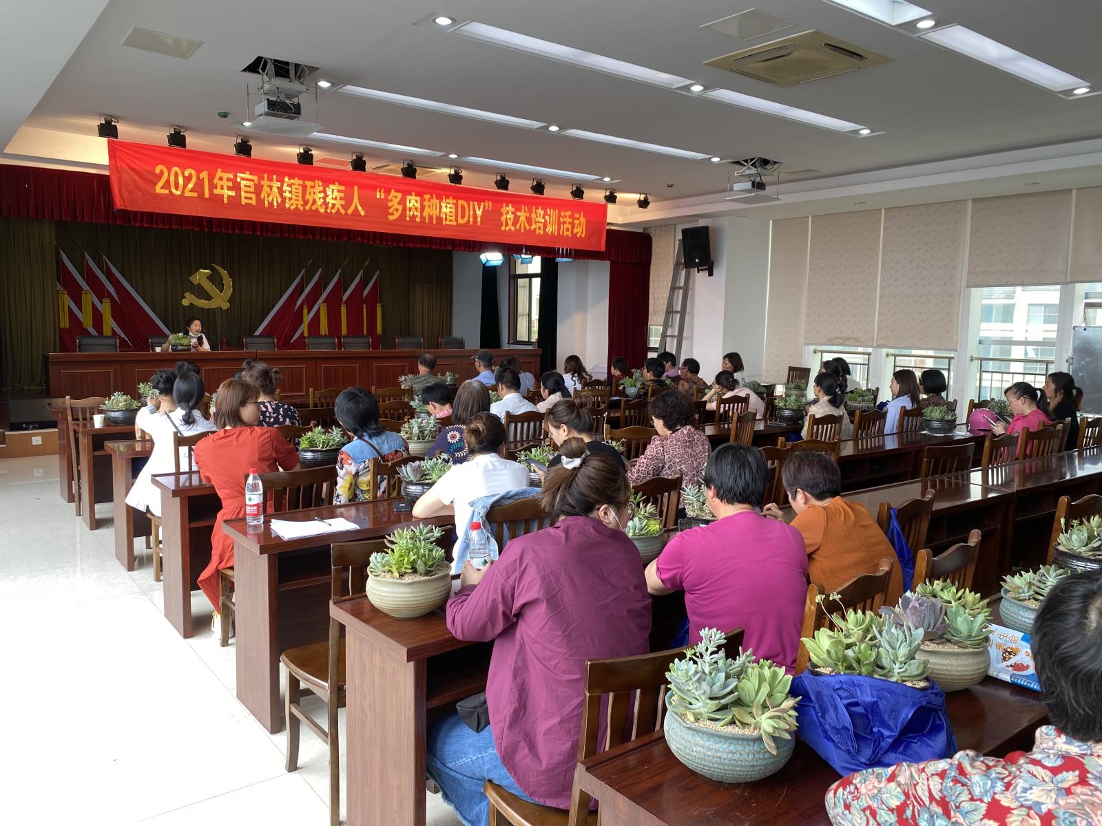 官林多肉.jpg 官林多肉.jpg