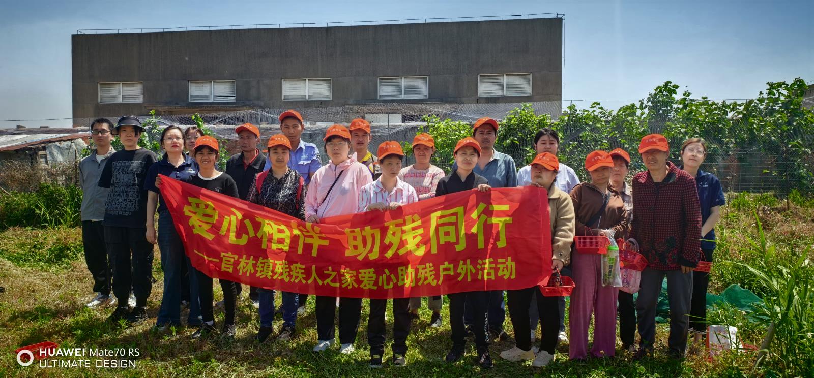 桑葚飘香 与爱同行——官林镇残联开展助残日户外采摘活动.jpg 桑葚飘香 与爱同行——官林镇残联开展助残日户外采摘活动.jpg