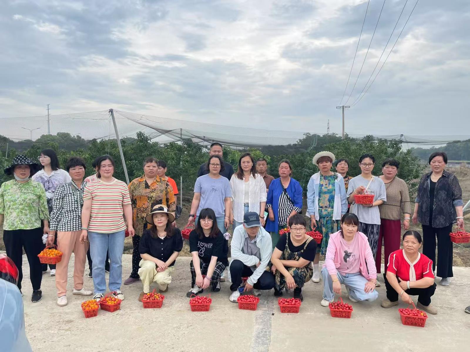 同心同行·采摘同乐——新庄街道残联组织残疾人开展采摘活动.jpg 同心同行·采摘同乐——新庄街道残联组织残疾人开展采摘活动.jpg